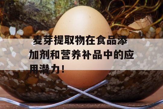  麦芽提取物在食品添加剂和营养补品中的应用潜力！